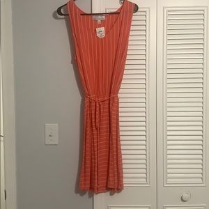Sleeveless stripe dress. XL. Never Worn.